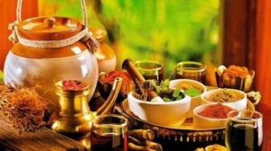 YOGA - योग का स्वतंत्र विभाग शुरू किया जाएगा: कुलपति
