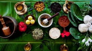 AYUSH - आयुष उद्योग 2020 तक पैदा करेगा 2.6 करोड़ रोजगार