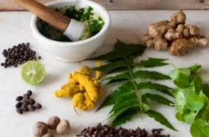 Clear exit exam to get licence for practising Ayurveda: Draft bill