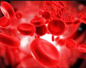 Blood साफ करने के लिए आपनाए ये घरेलू उपाय
