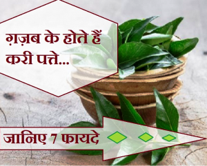 लिवर कमजोर हो या दिल से जुड़ी बीमारी हो, करी पत्ते के सेवन होंगे कई लाभ