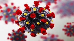 बिना लक्षण वाले लोगों से भी होता है कोरोना संक्रमण फैलने का जोखिम!