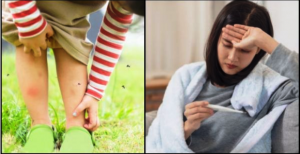 मलेरिया से बचाव के घरेलू उपाय, सावधानी न बरतने पर जानलेवा है यह - Malaria Home Treatment in Hindi