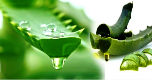 5 घरेलू उपाय, बालों को झड़ने से बचाए