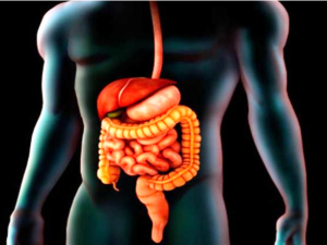 आंतों में भी हो सकती है टीबी:दस्त-बुखार करता है आंतों में टीबी होने का इशारा, ज्यादातर मरीजों में पानी की कमी हो जाती है; जानिए इससे कैसे निपटें