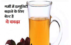 Build Your Immune:गर्मी में इम्यूनिटी बूस्ट करना चाहते हैं तो नींबू और तुलसी के पत्तों का काढ़ा पीएं , जानिए कब करें इसका सेवन
