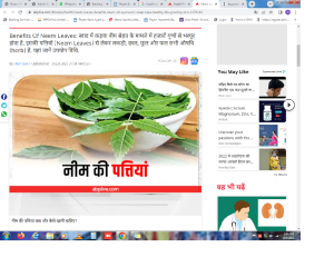 Neem Leaves: नीम की पत्तियां है अनेक रोगों का रामबाण इलाज, हेल्दी रहने के लिए ऐसे करें उपयोग