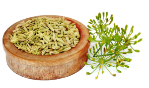 Benefits of Fennel Seeds: सौंफ खाने के ये गजब के फायदे जानकर चौक आप हो जाएंगे हैरान