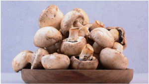 Mushroom Benefits: इम्यूनिटी बढ़ाने से लेकर पाचन के लिए फायदेमंद है मशरूम का सेवन