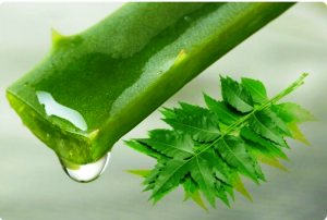 अगर उम्रभर स्वस्थ रहना है तो इन 10 चीजों का सेवन जरूर करें