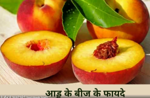 आड़ू के बीज के 4 फायदे- Aadu Ke Beej Ke Fayde