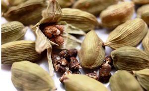 छोटी सी इलायची का पानी सेहत को देता है कमाल के फायदे, जानिए इसे बनाने और पीने का सही तरीका