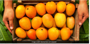 Benefits Of Mango: गर्मियों में क्यों खाएं आम, जानें आम खाने के हैरान करने वाले फायदे