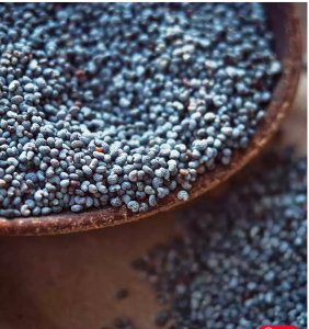 खसखस के 23 फायदे, उपयोग और नुकसान – Poppy Seeds (Khas Khas) Benefits, Uses and Side Effects in Hindi