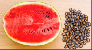 Watermelon Seeds Benefits: सेहत ही नहीं त्वचा के लिए भी गुणकारी हैं तरबूज के बीज, फायदे जान रह जाएंगे हैरान