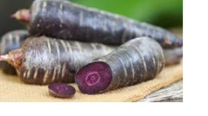 लाल गाजर खूब खाई होगी, अब वक्त आ गया पर्पल गाजर का! फायदे होंगे कई गुना ज्यादा