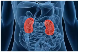 ये संकेत दिखते ही समझ लें किडनी होने वाली है खराब, तुरंत डॉक्टर के पास भागें