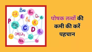 पोषक तत्वों की कमी की वजह से हो सकते हैं कई बीमारियों के शिकार, लक्षण पहचान, करें डाइट में सुधार