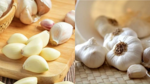 ज़्यादा लहसुन का सेवन है खतरनाक, हो सकते हैं इन बीमारियों के शिकार; जानें एक दिन में कितना खाएं?
