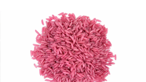 लो अब आ गया हाइब्रिड चावल, स्वाद और प्रोटीन में मीट जैसा, वैज्ञानिको ने नाम दिया है 'मीट राइस'