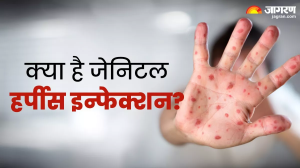 शरीर पर पानी भरे दाने हो सकते हैं जेनिटल हर्पीस के संकेत, इन चीज़ें से बढ़ता है इस इन्फेक्शन का खतरा