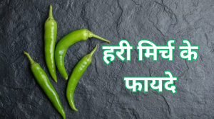 Green Chilli Benefits: दिल की बीमारियों से बचाव करने में मददगार है हरी मिर्च, जानें इसे खाने के फायदे