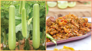 डायबिटीज में क्यों फायदेमंद है लौकी का चोखा? कारण जान रोज बनाकर खाएंगे!