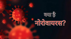 अमेरिका में कहर बरपा रहा Norovirus, जानें इस बीमारी से जुड़ा वह सबकुछ जो जानना जरूरी है