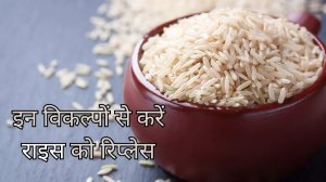 Rice Alternatives: चावल को अपनी डाइट से करना चाहते हैं आउट, तो इन हेल्दी विकल्पों से करें इसे रिप्लेस