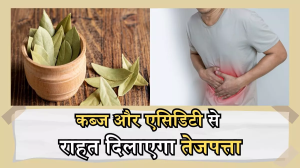 Bay Leaves Benefits: कब्ज और एसिडिटी की छुट्टी कर देगा तेजपत्ता! जानिए इसके फायदे और इस्तेमाल का तरीका