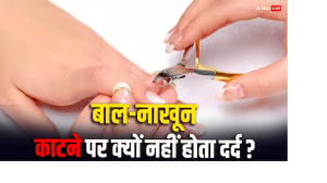 आखिर बाल और नाखून काटते वक्त क्यों नहीं होता दर्द, यहां जानिए राज की बात