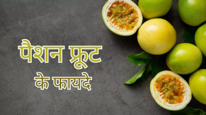 Passion Fruit Benefits: पोषक तत्वों का भंडार है ये फल, पेट से लेकर दिल तक को रखता है दुरुस्त