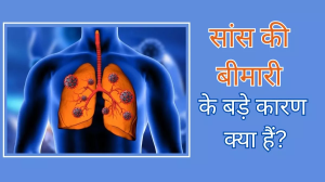 Healthy Lungs: ऐसे रखें फेफड़ों को स्वस्थ ताकि बना रहे सांसों का संतुलन