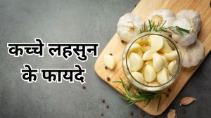 Garlic: रोजाना सुबह खाली पेट चबा लें एक लहसुन की कली, ब्लड शुगर रहेगा कंट्रोल, वेट लॉस में भी करेगा मदद
