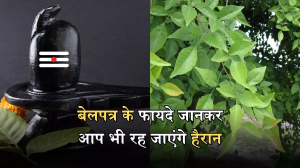 पाचन शक्ति बढ़ाने से लेकर ब्लड शुगर कंट्रोल करने तक, सेहत को कई फायदे पहुंचाता है भगवान शिव का प्रिय बेलपत्र