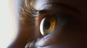 काला मोतिया यानी 'ग्लूकोमा' की आशंका से कैसे बचें?