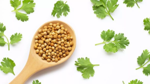 थायरॉइड के मरीजों के लिए अमृत से कम नहीं धनिया का पानी, रोजाना पीने से मिलेंगे कई फायदे