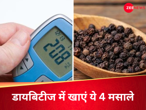 डायबिटीज में दवा सा असर दिखाते हैं ये 4 मसाले, आयुर्वेद डॉ से जानें शुगर कंट्रोल करने के लिए कैसे खाएं
