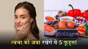 Collagen Rich Foods: बढ़ती उम्र के साथ त्वचा रहेगी जवान, अगर डाइट में शामिल करेंगे कोलेजन रिच ये 5 फूड्स