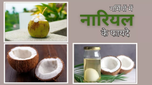 Coconut Summer Benefits: गर्मियों में जरूर करें खाने में नारियल का उपयोग, होंगे गजब के फायदे