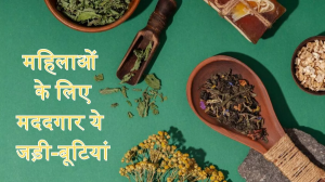 शरीर में Hormonal Imbalance बना सकती हैं कई समस्याओं का शिकार, इन जड़ी-बूटियों से पाएं जल्द आराम