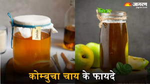Kombucha Tea Benefits: कोम्बुचा चाय है सेहत के लिए वरदान, पीने से मिलेंगे ये 5 फायदे