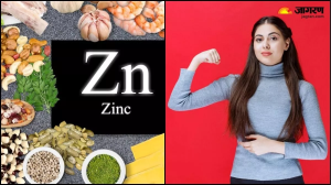 Zinc Rich Foods: 30 की उम्र में महिलाओं को जरूर खानी चाहिए ये 5 चीजें, सेहत में रहेंगी सबसे आगे