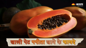 Papaya Benefits: शुगर कंट्रोल करने से वजन कम करने तक, सुबह खाली पेट पपीता खाने से मिल सकते हैं कई फायदे