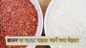 Brown rice vs White Rice: वजन घटाने से लेकर हेल्दी बनाने तक, जानें क्या है दोनों में से ज्यादा बेहतर