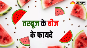 Watermelon Seeds: तरबूज ही नहीं इसके बीज भी हैं गुणों का भंडार, फायदे जानेंगे तो नहीं करेंगे फेंकने की गलती