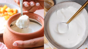 दही के साथ भूलकर भी इन चीज़ों का न करें सेवन, वरना शरीर में हो सकती हैं ये परेशानियां