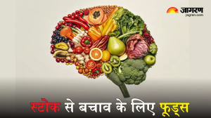 Stroke की वजह से हर साल लाखों लोग गंवाते हैं अपनी जान, बचाव के लिए इन फूड्स को बनाएं डाइट का हिस्सा