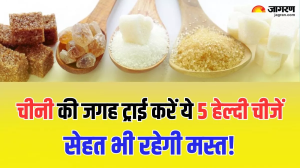 Sugar Substitutes: चीनी की जगह इस्तेमाल करें ये 5 चीजें, स्वाद के साथ सेहत से नहीं करना पड़ेगा समझौता