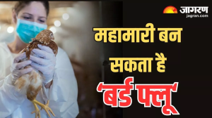 कोरोना से 100 गुना ज्यादा ताबाही मचा सकता है Bird Flu, एक्सपर्ट्स ने H5N1 वायरस को बताया नई महामारी की वजह!